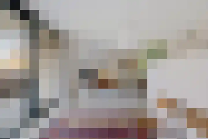 Barckemalaan 46 Tolbert thumbnail 12