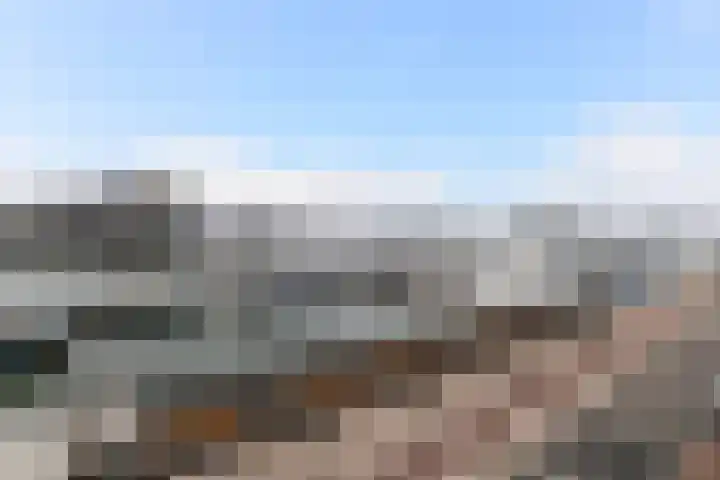 Barckemalaan 46 Tolbert thumbnail 13