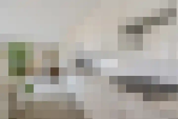 Barckemalaan 46 Tolbert thumbnail 16