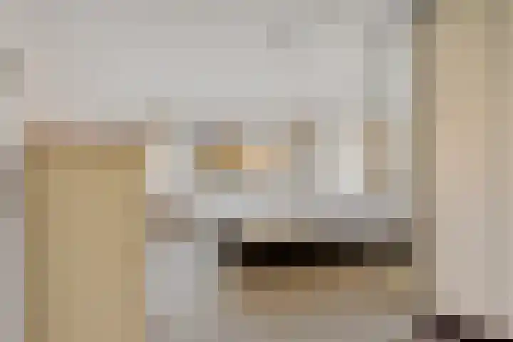 Barckemalaan 46 Tolbert thumbnail 17