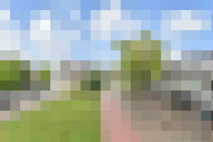 Barckemalaan 46 Tolbert thumbnail 19