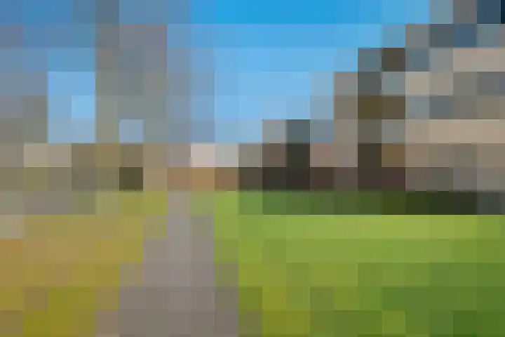 Barckemalaan 46 Tolbert thumbnail 27