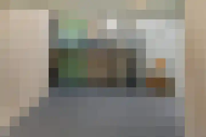 Barckemalaan 46 Tolbert thumbnail 6