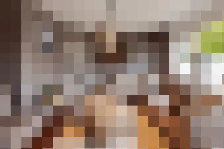 Bareel 33 Breda thumbnail 10
