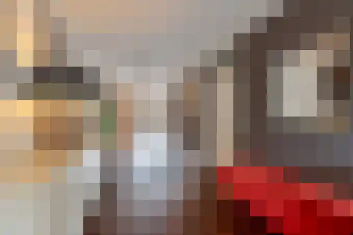 Bareel 33 Breda thumbnail 11