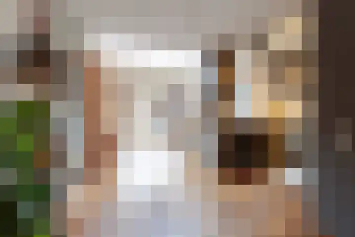 Bareel 33 Breda thumbnail 12