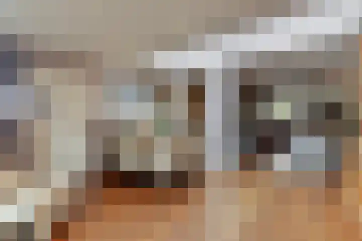 Bareel 33 Breda thumbnail 16