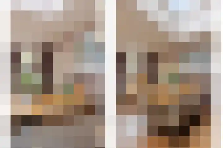 Bareel 33 Breda thumbnail 19