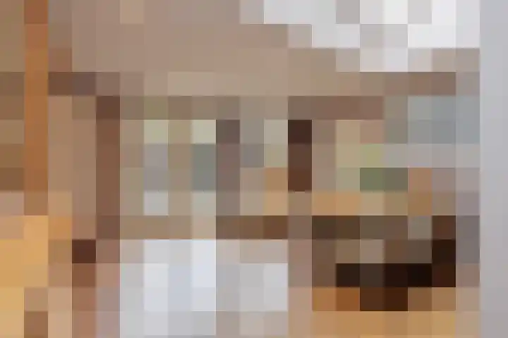Bareel 33 Breda thumbnail 20