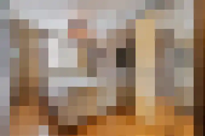 Bareel 33 Breda thumbnail 21