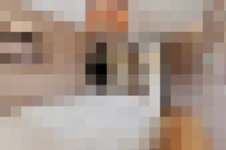 Bareel 33 Breda thumbnail 22