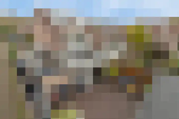 Bareel 33 Breda thumbnail 29