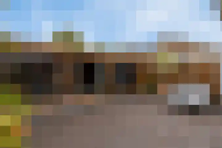 Bareel 33 Breda thumbnail 30