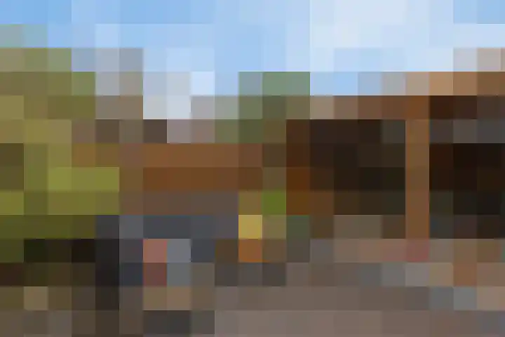 Bareel 33 Breda thumbnail 34