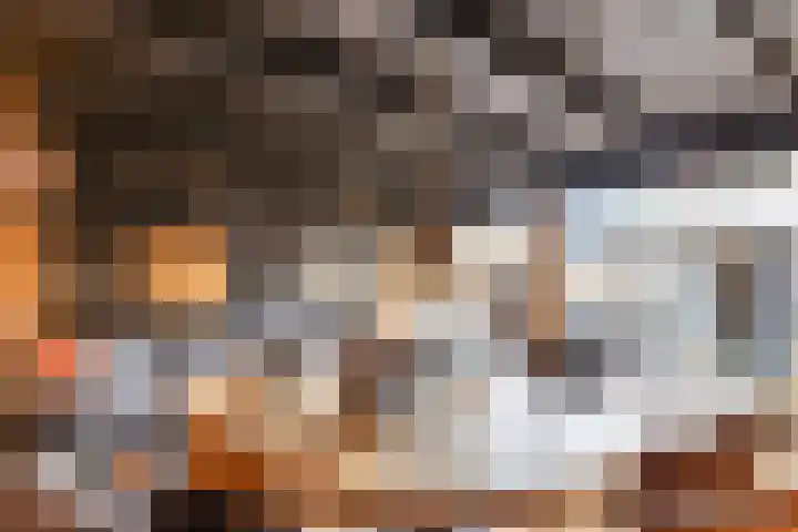 Bareel 33 Breda thumbnail 38