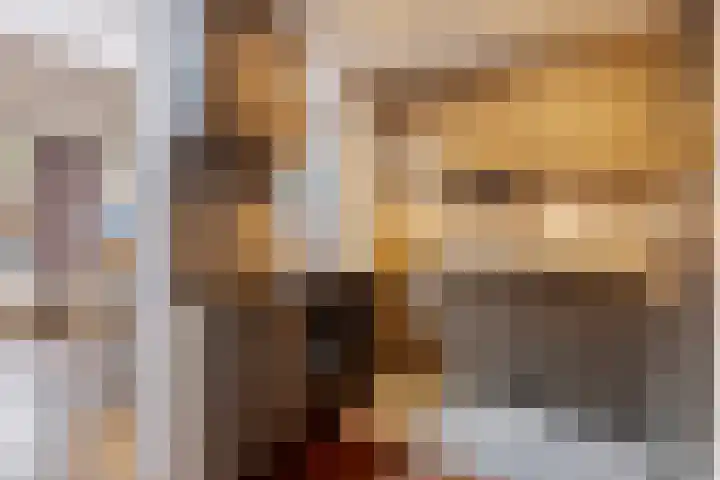 Bareel 33 Breda thumbnail 4