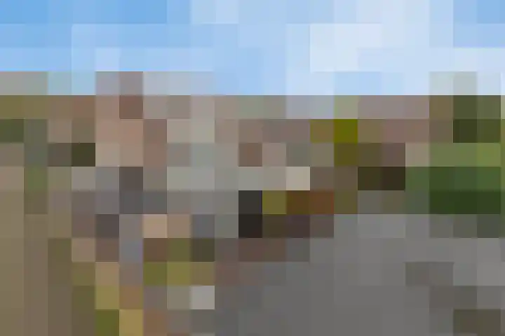 Bareel 33 Breda thumbnail 43