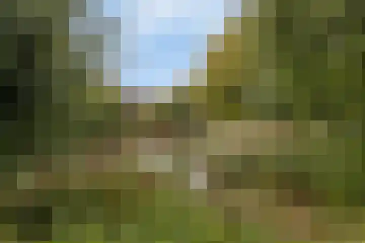 Bareel 33 Breda thumbnail 47