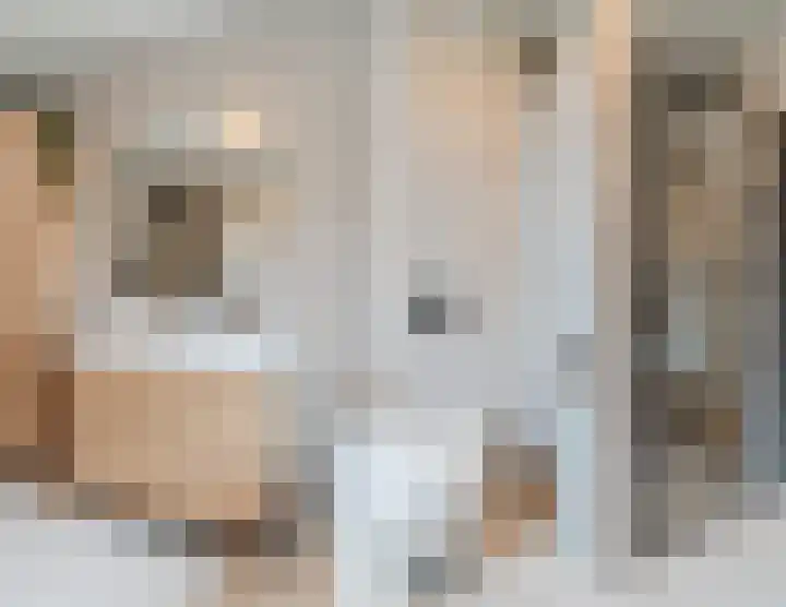 Barend Cohenstraat 30 Breda thumbnail 33