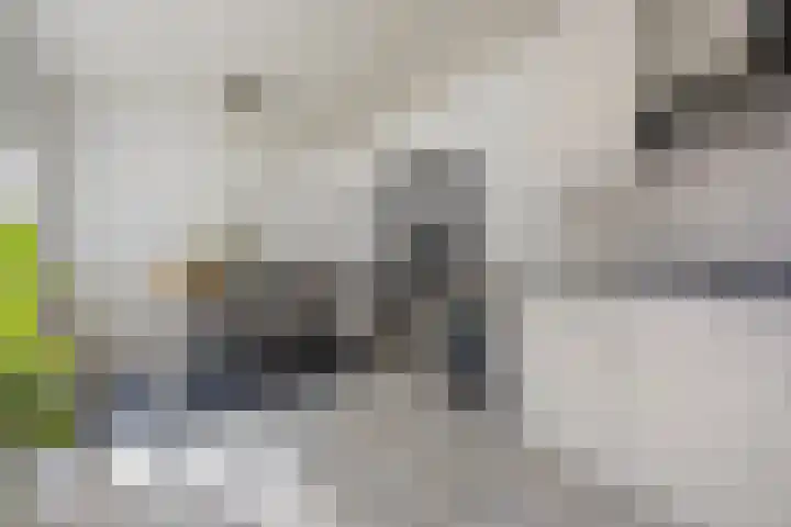 Barentszstraat 10 Drunen thumbnail 10