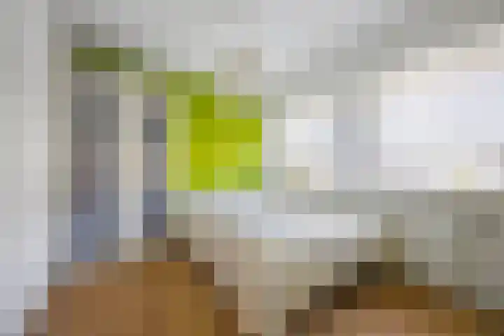 Barentszstraat 10 Drunen thumbnail 12