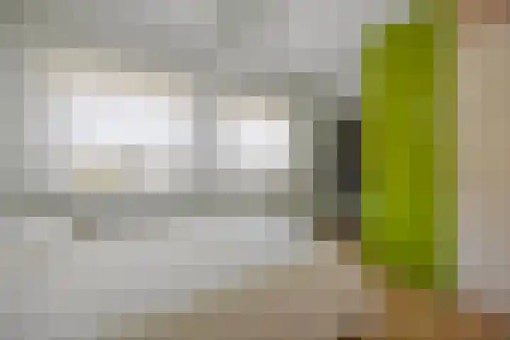 Barentszstraat 10 Drunen thumbnail 13