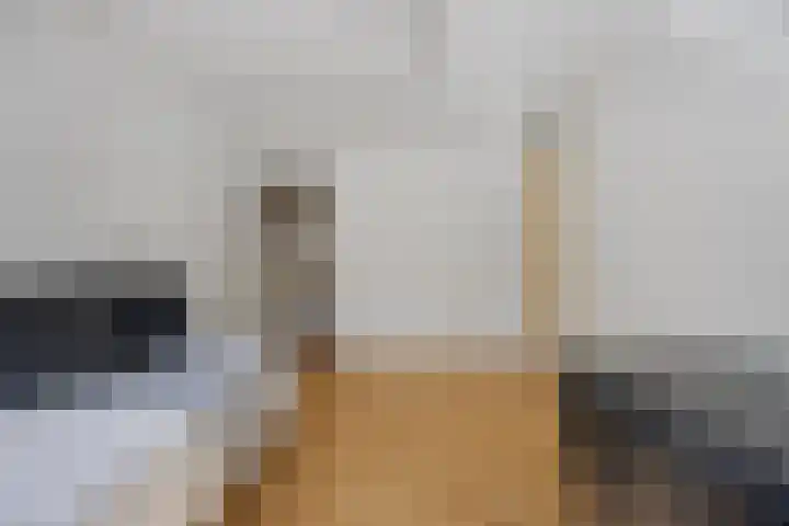 Barentszstraat 10 Drunen thumbnail 20