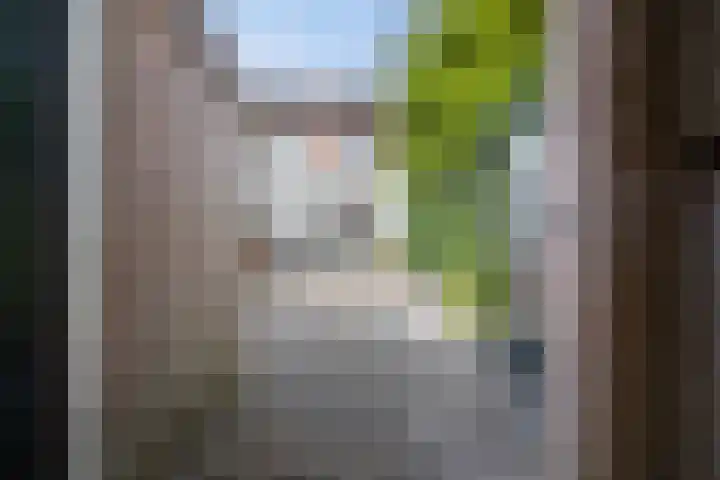 Barentszstraat 10 Drunen thumbnail 27