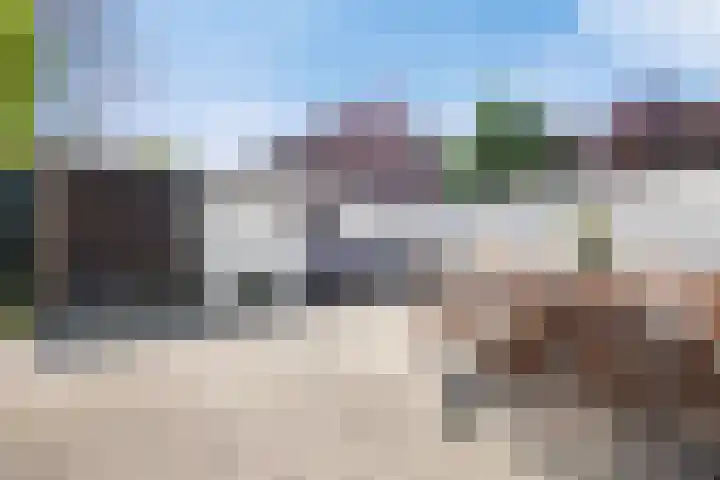 Barentszstraat 10 Drunen thumbnail 4