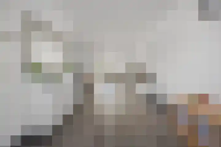 Barentszstraat 10 Drunen thumbnail 7