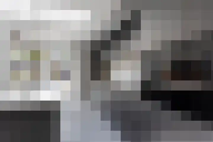Barentszstraat 60 Lisse thumbnail 15