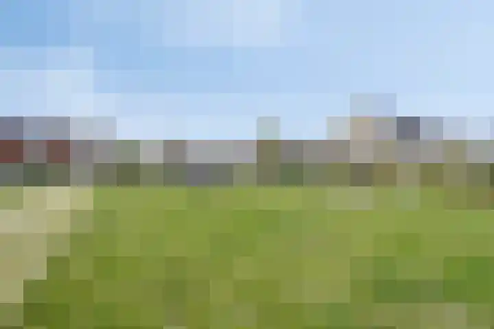 Barentszstraat 60 Lisse thumbnail 30