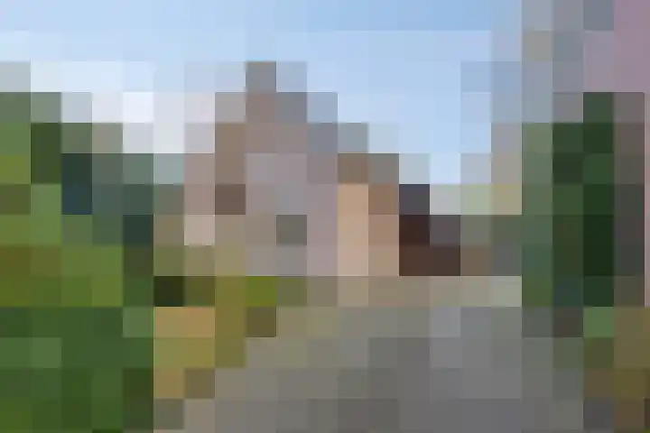 Bareveld 24 en Nieuwediep