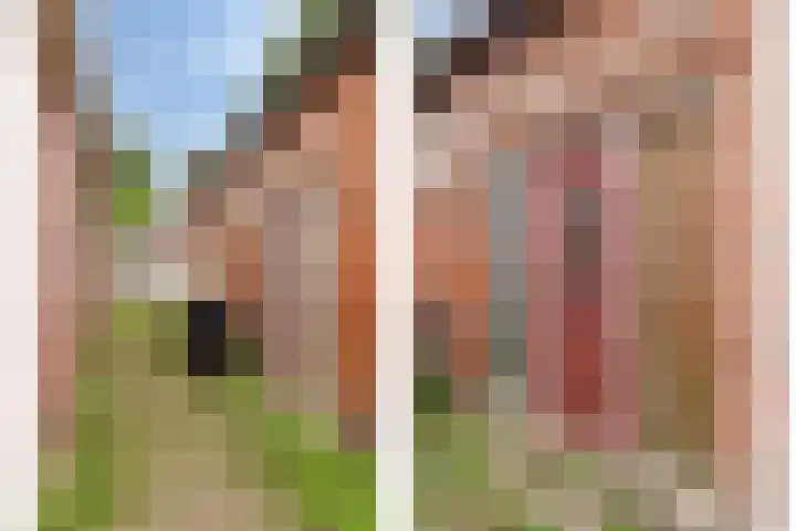 Bareveldstraat 11 Wildervank thumbnail 22