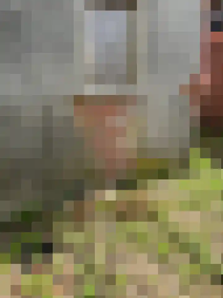 Bareveldstraat 11 Wildervank thumbnail 26