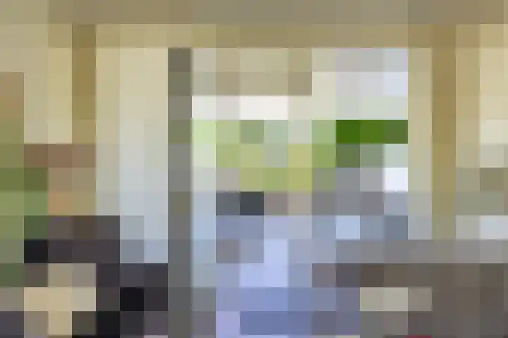 Bargapark 37 Bergen L thumbnail 31