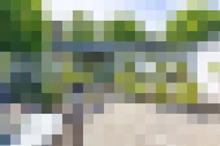 Bargapark 37 Bergen L thumbnail 4