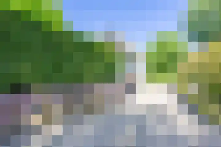 Bargapark 37 Bergen L thumbnail 46