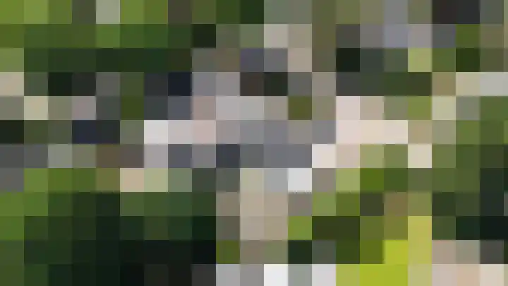 Bargapark 37 Bergen L thumbnail 48