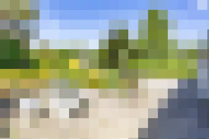 Bargapark 37 Bergen L thumbnail 50