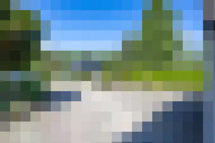 Bargapark 37 Bergen L thumbnail 51