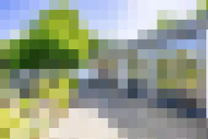 Bargapark 37 Bergen L thumbnail 53