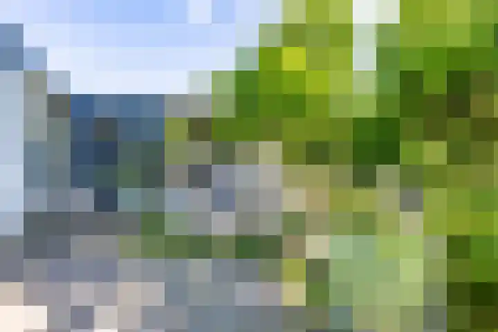 Bargapark 37 Bergen L thumbnail 56