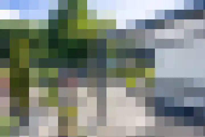 Bargapark 37 Bergen L thumbnail 59