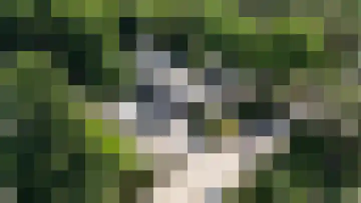 Bargapark 37 Bergen L thumbnail 63