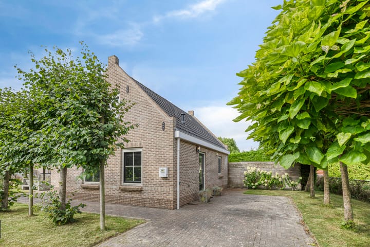 Bargereed 49 in Tzummarum foto