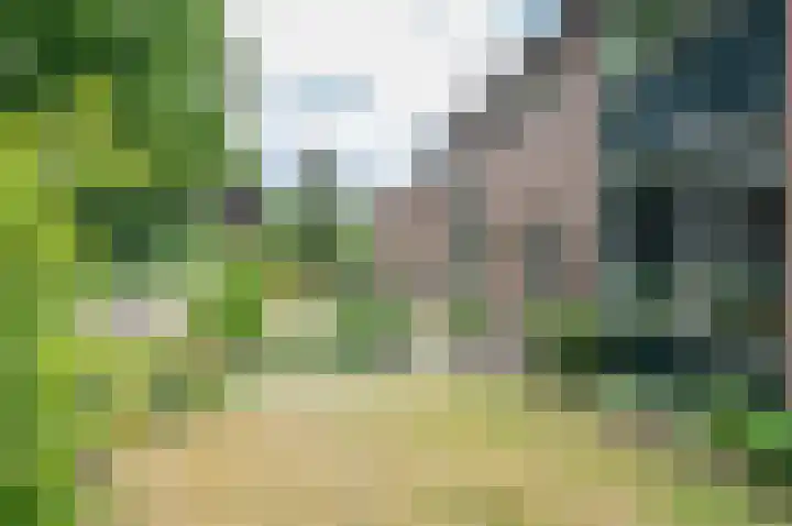 Bargeweg 2 Eefde thumbnail 10