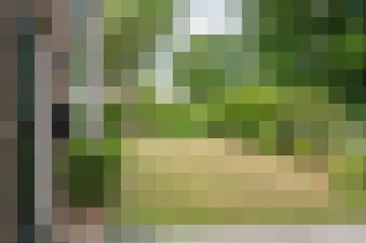 Bargeweg 2 Eefde thumbnail 11