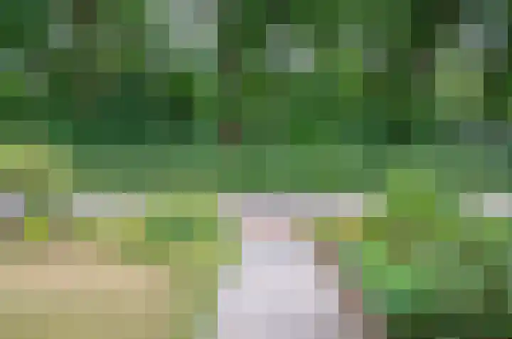 Bargeweg 2 Eefde thumbnail 12