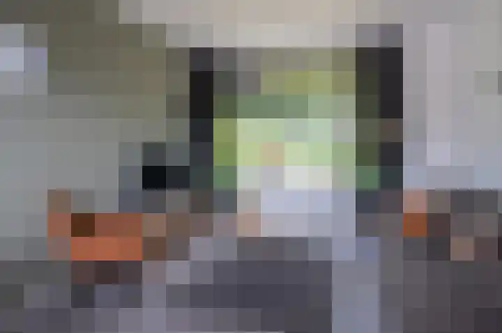 Bargeweg 2 Eefde thumbnail 18